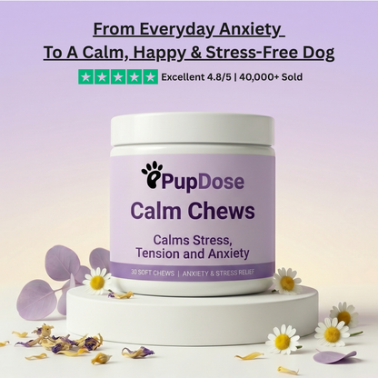 Calm Chews — Anxiety Relief & Stress Support for Dogs